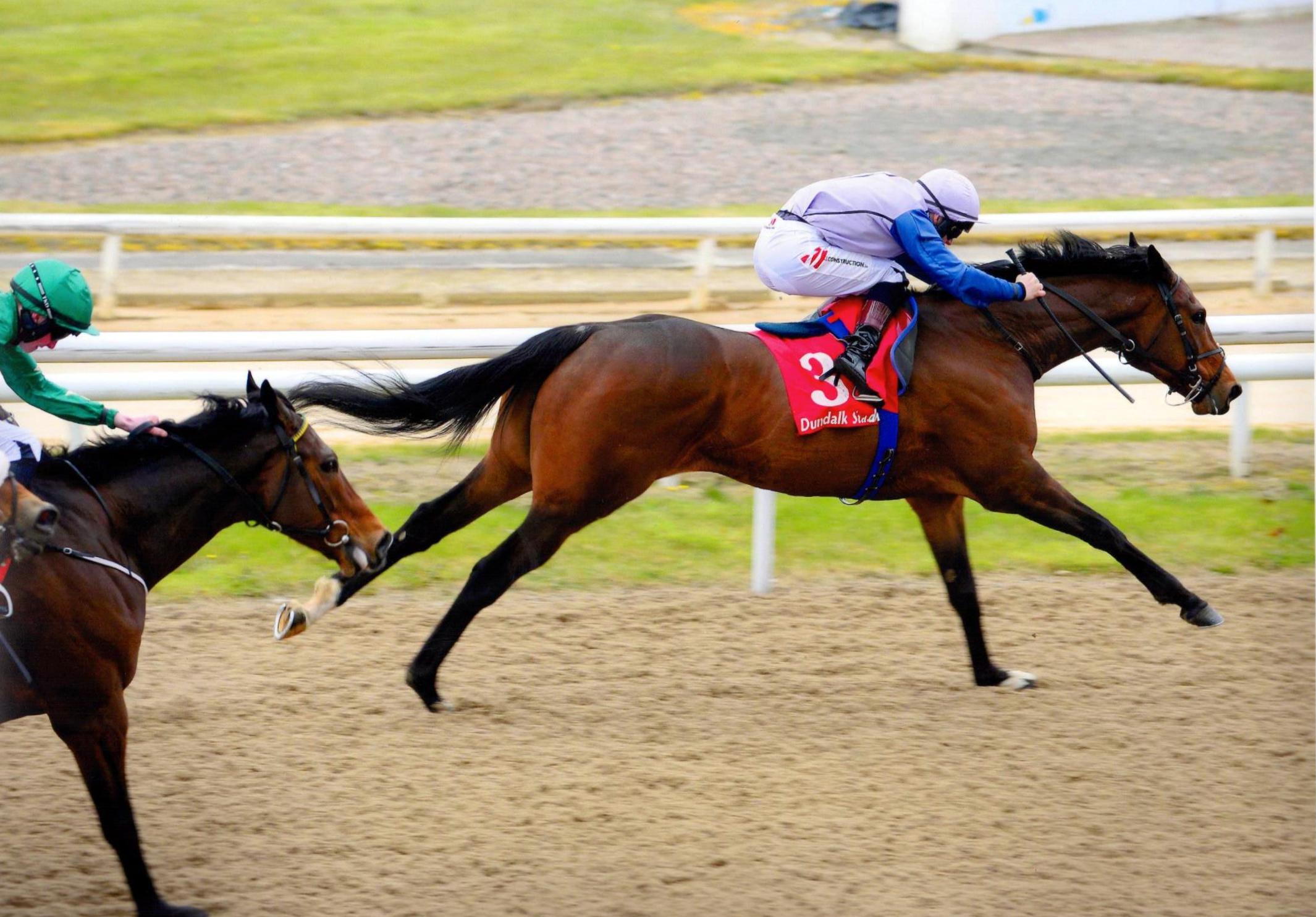 ARDHOOMEY notches up his second career victory at Dundalk 18th April 2016